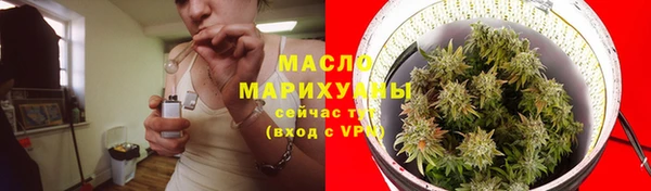 прущая мука Вяземский