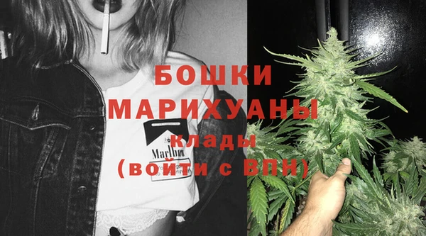 спиды Волосово