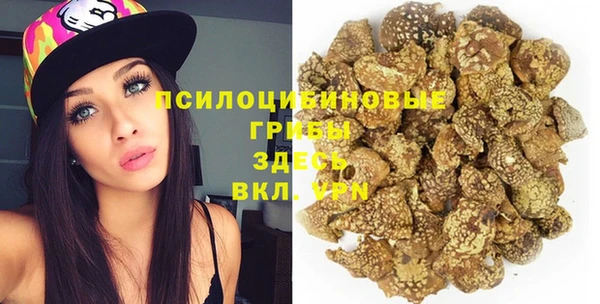 спиды Волосово