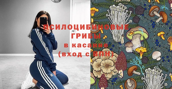 прущая мука Вяземский